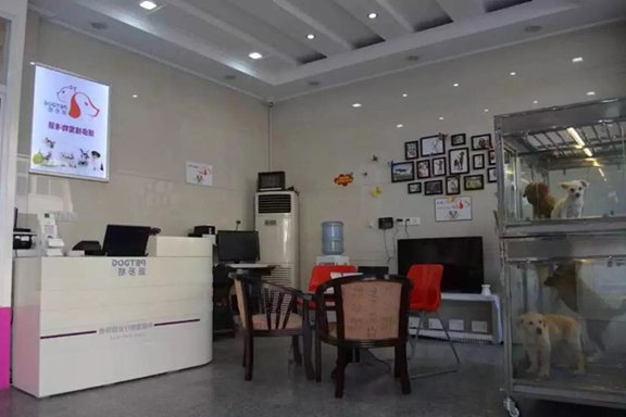 宠物连锁店商品标签如何有效利用？（一）