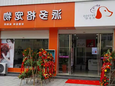 新手开宠物店会遇到的问题有哪些？