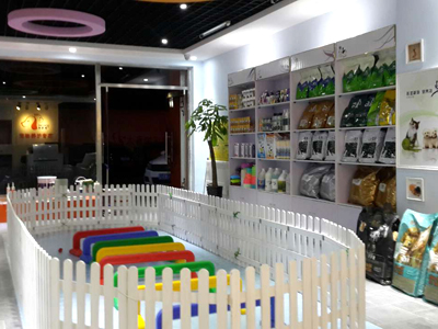 新手开宠物店会遇到的问题有哪些？
